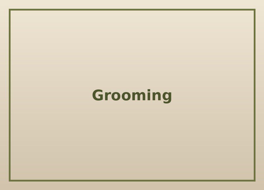 Grooming